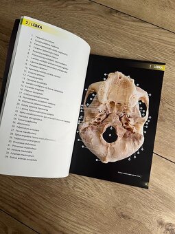 Atlas vybraných kapitol anatomie člověka - 5
