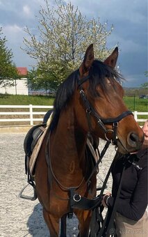 klisna pro dítě / amatéra - 5