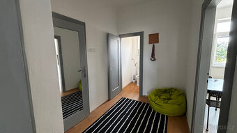 Pronájem bytu 1+1 v Brně (45,5m², od 1.7.2025) - 5