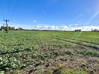 Stavební parcela na okraji města Dašice - 5