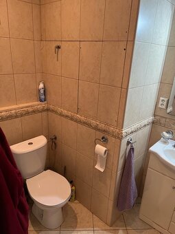 Pronájem 2-1 Rozvadov - 5