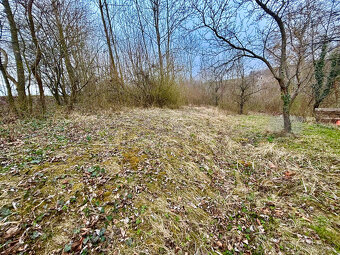 Prodej pozemku/zahrady 372 m² kousek od Brna SLEVA - 5