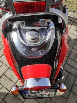 Sachs Bee - 5