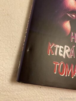 Kniha Holčička která měla ráda Toma Gordona - 5