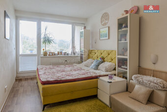 Prodej bytu 2+kk, 47 m², Všemina - 5