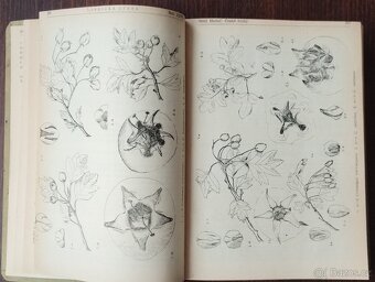 (Antikv.)Lesnická práce, časp. SET 12 - 5