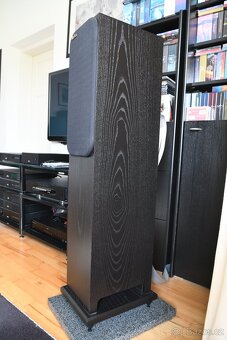 Repro ProAc Response D 28 - 5