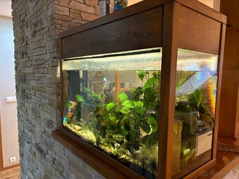 Akvárium s rámem - 5