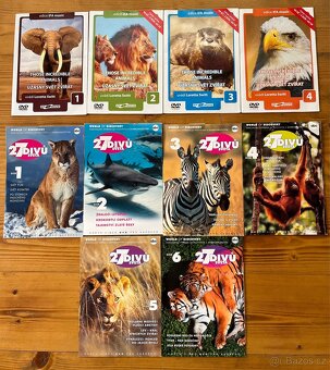 DVD Profesionálové/Galactica/Jetix/Užasná planeta - 5