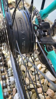 Leader Fox Venosa - 5