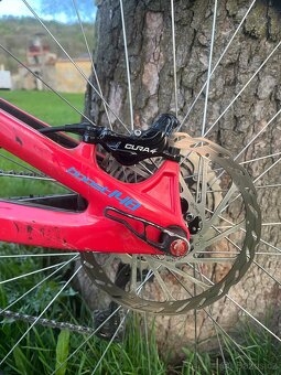 Pivot firebird - 5
