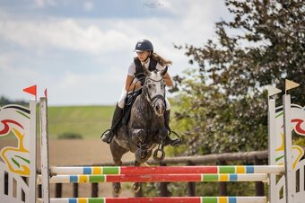 ⭐️ Krásný valášek na prodej ⭐️ - 5