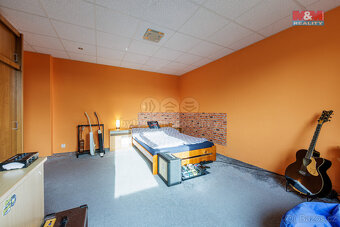 Prodej rodinného domu, 300 m², Stanovice - 5