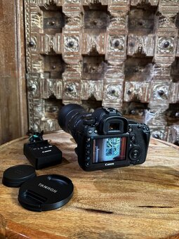 Canon EOS 5D Mark IV + Tamron for Canon SP 150-600 mm F/5-6. - 5
