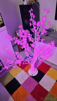 Svíticí sakura - 5