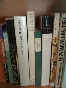 Severské knihy vhodné pro studenty skandinavistiky+zápisky - 5