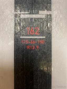 Lyže Molitor R1 Release Premium 162 cm - 5