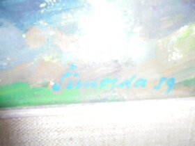 OBRAZ OLEJ  NA KARTONU-ŠIMORDA 59 - 5