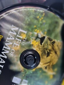 BBC přírodovědná sada CD. - 5