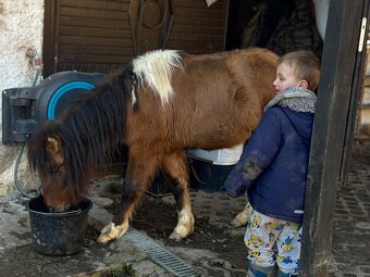 Mini hors - 5