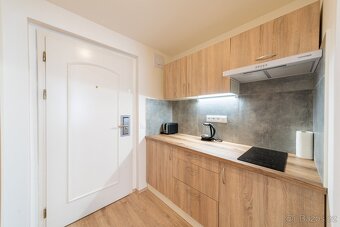 Cтильна 1kk для пари у Vinohrady. - 5