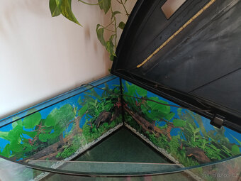 Akvárium rohové - 5