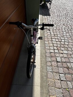 Řůžové kolo DEMA - 5