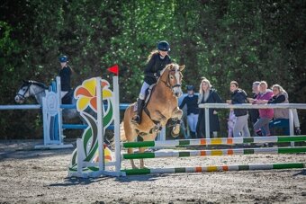 Na prodej klisna 141 cm, Pony B - 5