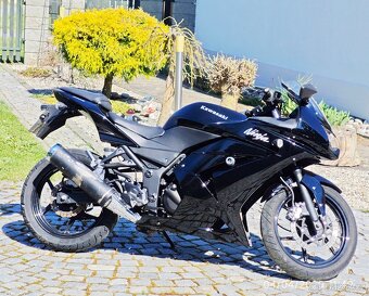 Kawasaki Ninja 250 R - 5