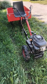 Vari pony se zpatečkou - 5