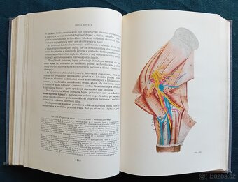 ZÁKLADY ANATOMIE HOSPODÁŘSKÝCH ZVÍŘAT - 1954 - 5