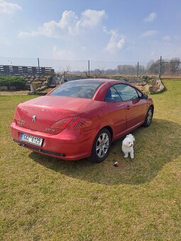 Peugeot 307cc - 5
