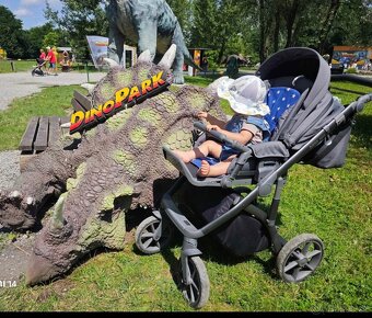 Roan Bass Next - Steel Grey - 5