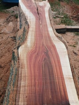 Jilmové fošny, členité, nádherná kresba - 5