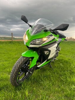 Kawasaki Ninja 300 ABS r.v. 2015, výfuk Leo Vince - 5