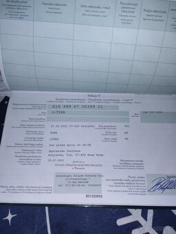 Hodná klisna pony - 5