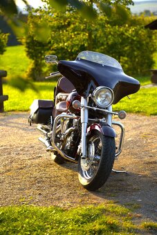 Yamaha XV 1600 WildStar - 5