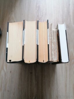 6x KNIHA NA TÉMA MNICHOVSKÁ DOHODA + PROTEKTORÁT - 5