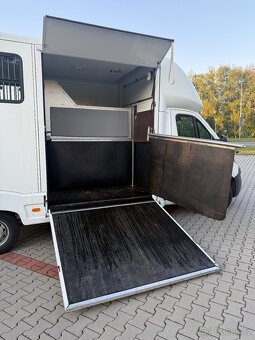 Peugeot Boxer auto na koně - 5