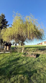 Prodej rodinného domu 170 m2 - Rohoznice, ev.č. 00699 - 5
