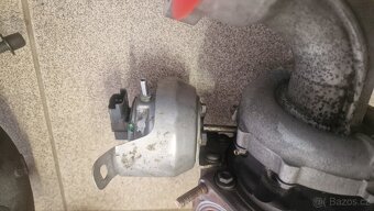 Turba na repas, různé druhy - 5