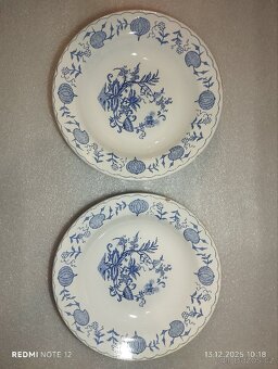 Porcelánové talíře -CIBULOVY VZOR - 5