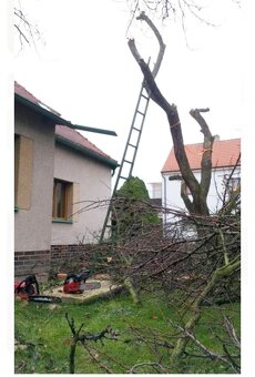 Údržba zahrad a bytů Praha a okolí - 5