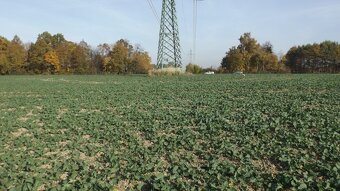 Orná půda O.- Bartovice, cca 25.000m2, rovina, 59 Kč/m2. - 5