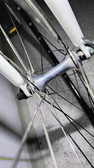 Prodám Fort Campagnolo - 5