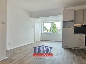 Pronájem nově rekonstruovaného bytu 3+kk, 53 m2 - České Budě - 5