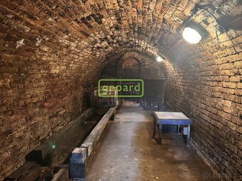 Prodej vinného sklepa, obec Prušánky, část Dolní Nechory - 5