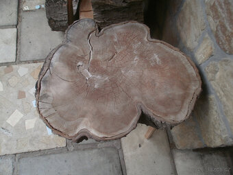 řezy kmenů dekorace - 5