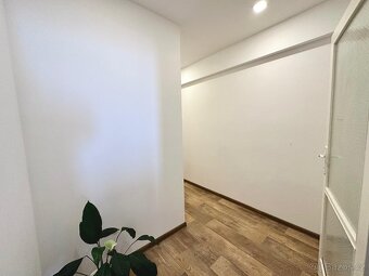 Pronájem bytu 1+1- Praha 3 - 5