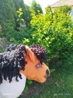 Hobby horse - 5